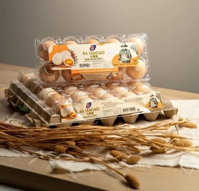 599241903_1266061885542540_5201090777294305037_n